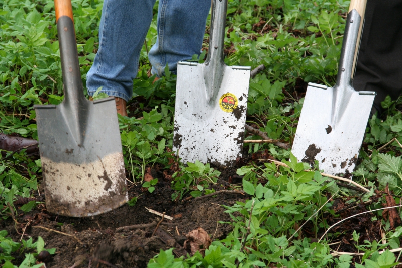 pepiniere-OLLIOULES-min_work-lawn-flower-tool-green-backyard-1103633-pxhere.com